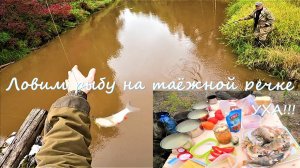 Ловим рыбу на глухой таёжной речке/уха с дымком