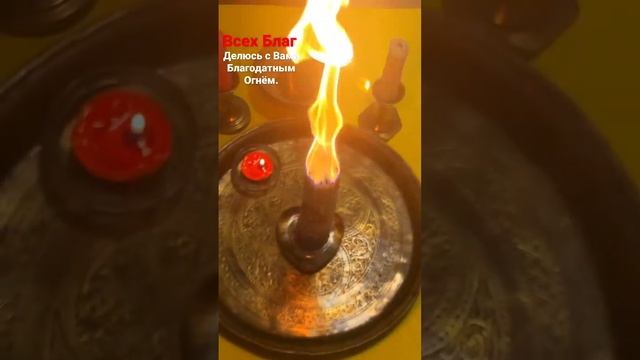 Иерусалимские свечи освященные в Храме Гроба Господня в Иерусалиме. #благодарнытныйогонь #шортс смотреть онлайн