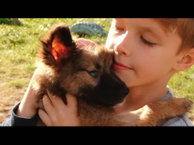 В добрые руки 20.09.16 смотреть онлайн