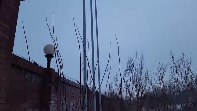 флагштоки резонируют смотреть онлайн