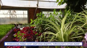 КҮНӨСКАНА КУРУП, КИРЕШЕСИ АРТКАН ИШКЕР