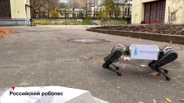 Первый российский робопес INEWS #188 от 01.11.21.