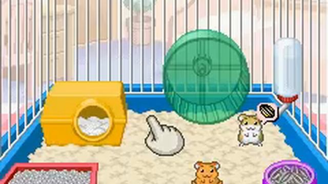 Включи игру хомяк. Petz Hamsterz. Игра Hamsterz Life 2. Petz Hamsterz Life. Игра Hamster.