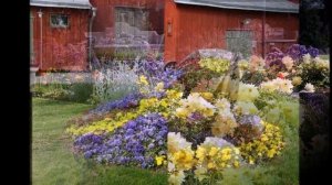 Цветники на даче. Фото идеи по оформлению цветника своими руками