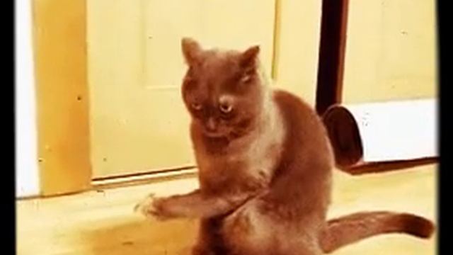 Когда получил зарплату.