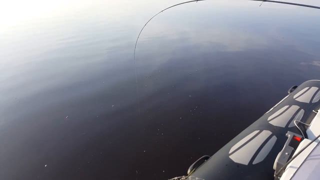 Сом Киевское ВДХР (Catfish Kiev Dnieper) смотреть онлайн