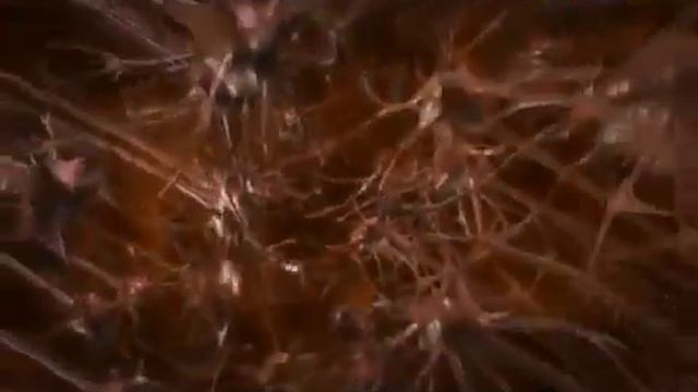 Есть ли у человека бессмертная душа? смотреть онлайн