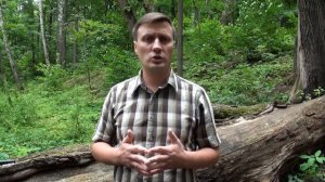 Психология агрессии и конфликта: как постоять за себя словами