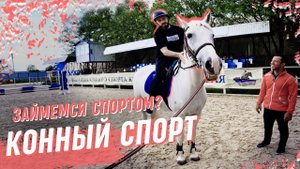 Конный спорт в Краснодарском крае. Современные ипподромы, уход за лошадьми и участие в скачках