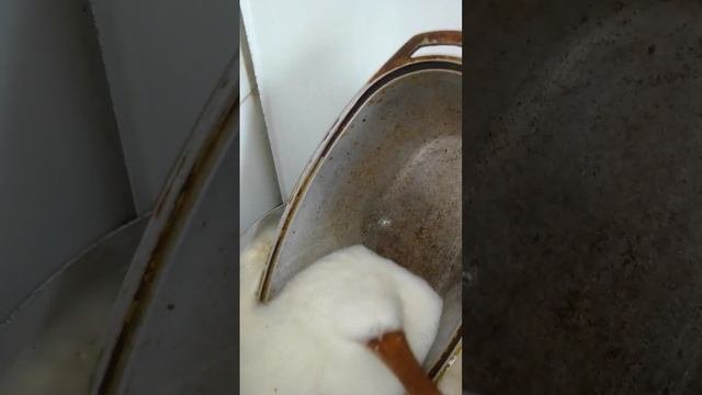 BRANDFREE. тестируем кислородный очиститель.