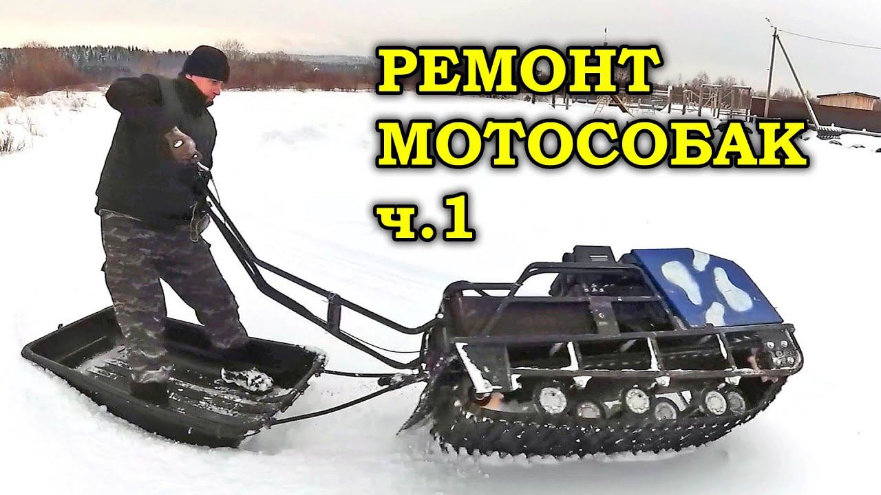 Ремонт мотособак (мотобуксировщик Мужик, Райда) часть 1