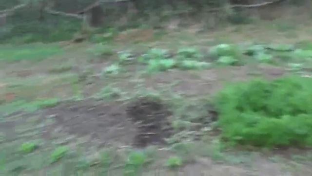 Огородчик лагерный помогает прожить не только лето. 30. 06. 2020 смотреть онлайн