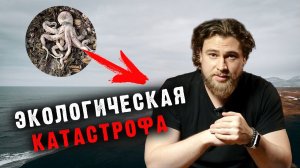 Экологическая катастрофа на Камчатке - Сортировочная