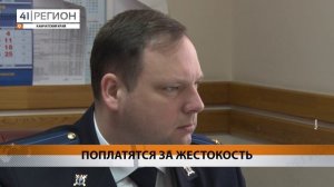 СЕЛЬЧАНИН УБИЛ КОТЯТ МОЛОТКОМ ЗА ВОЗНАГРАЖДЕНИЕ • НОВОСТИ КАМЧАТКИ