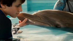 Dolphin Tale (2011) Movie Trailer HD