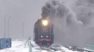 Семь сорок! (Песни пионеров Пиндостана 4.)