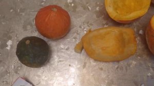 Тыквы "Ушики Кури" - отзыв