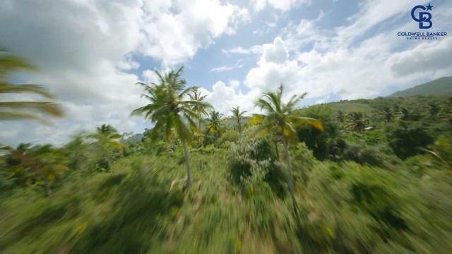 Gorgeous Property in Playa Rincon, Samana, Dominican Republic - 4K смотреть онлайн