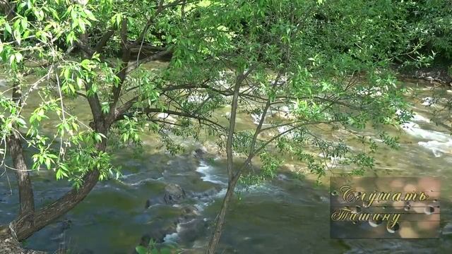 Звуки реки, пение птиц, голоса природы для отдыха и сна