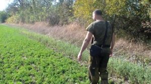 Открытие охоты на волка , спаниель порвал волка в одиночку 21 октября 2023 г.