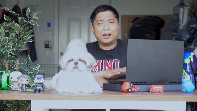 MSI GS66 Stealth delivers on Reviews with Robyn! A first Impression. смотреть онлайн