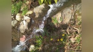 Женский монастырь Святого Иоана Богослова #georgia #batumi #грузия #батуми #монастырь  #святые мест