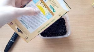 Мимулюс-прекрасный цветок для сада! Посев