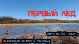 ПЕРВЫЙ ЛЁД. Зимняя рыбалка 2021 - 2022. Щука не даёт покоя, не успеваем заряжать жерлицы
