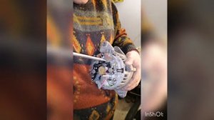 Замена Диодного моста Ланос 1.4, Сенс, Заз Шанс 1.3