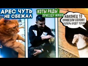 Братья привезли собакам солому. Собаки ревнуют друг к другу. Опять закупаем корма.