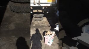 Ремонт фотон