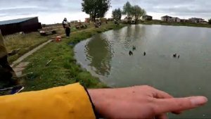 Ловля форели на платном водоеме Рыбин гуд. Осень 2022