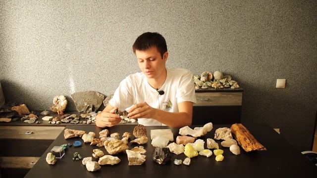 Минералы и окаменелости, найденные в окрестностях Самарской области| Обзор коллекции "Тайных троп"