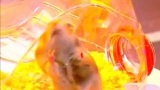 Математика 3. Ноль. Точка и плоскость — Академия занимательных наук смотреть онлайн