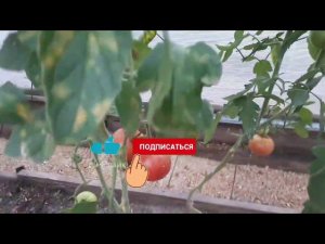 Вот результат проведенных работ.