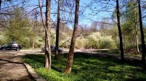 Пензенская область Никольский район