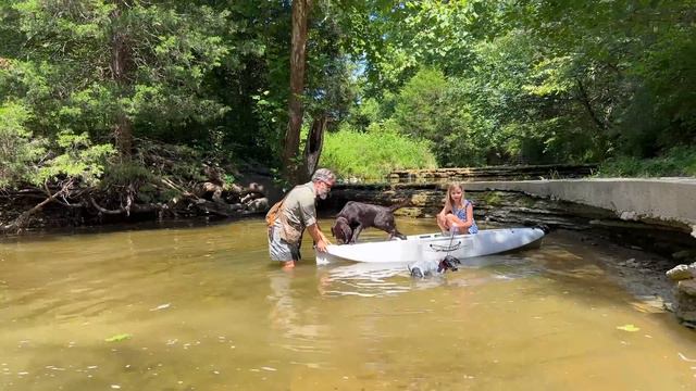 Labrador Retriever & German Shorthaired Pointer Training | Hiking Swimming Kayaking