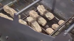 Промышленные фритюрницы непрерывного погружного действия WP RIEHLE DLA SC