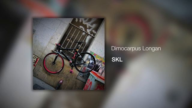 SKL - Dimocarpus Longan #RetoLofi смотреть онлайн