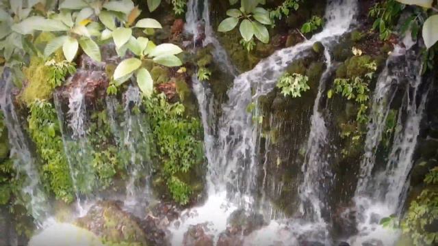 Banyu Wana Amertha Waterfall Bali Indonesia 20/02/2020