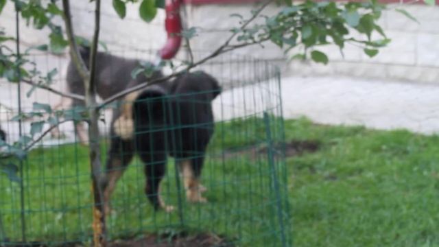 Игры перед сном. смотреть онлайн