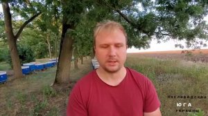 Пластины от клеща своими руками! Обработка пчел от клеща, с помощью "SCABATOX "
