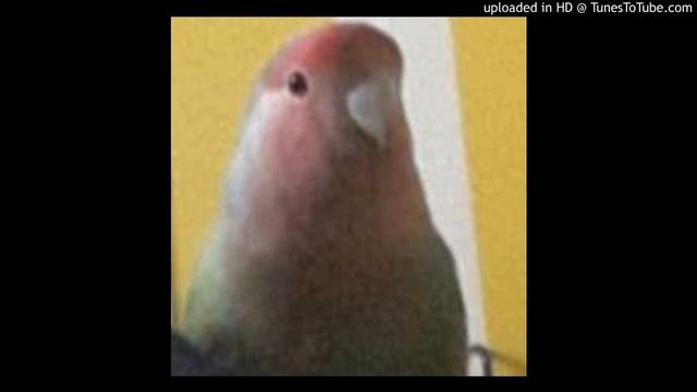 Tango Mango смотреть онлайн