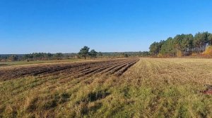 По России на Ниссан Сафари. #37 Амурская область и Хабаровский край. И ещё успел покопать.