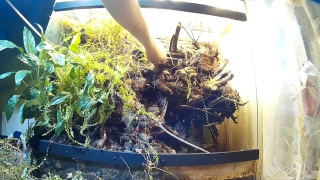 ПРОЩАЙ ПАЛЮДАРИУМ. РАЗБИРАЮ ПАЛЮДАРИУМ 350 ЛИТРОВ . PALUDARIUM смотреть онлайн