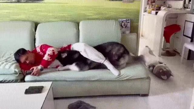 Умница