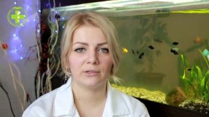 Почему в аквариуме зеленеет вода и как с этим бороться. Ветеринарная клиника Био-Вет.