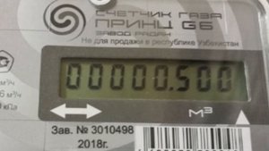 Счетчик газа «ПРИНЦ» от завода-изготовителя «РАДАН»