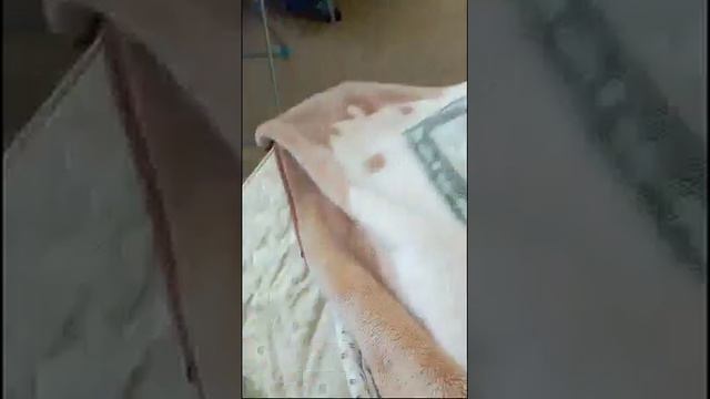 Ах Вы Ж Кошки Шалунишки смотреть онлайн