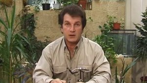 Даббинговая петля